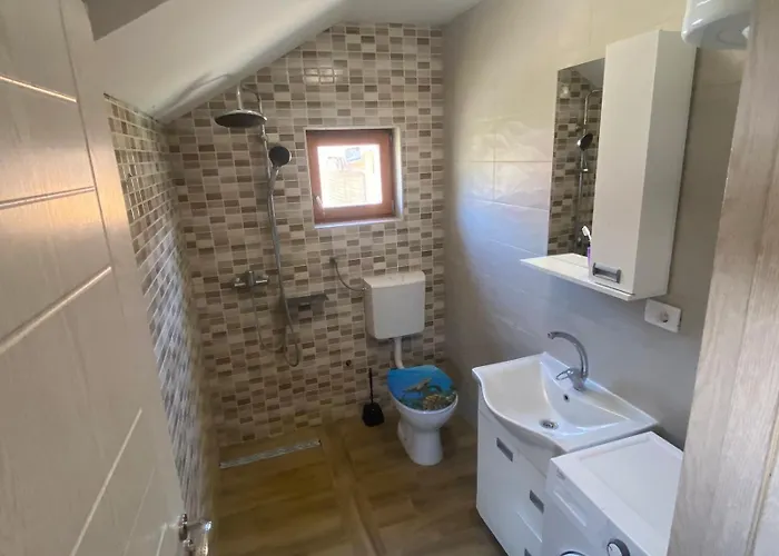 公寓 Salas Babic 诺威萨